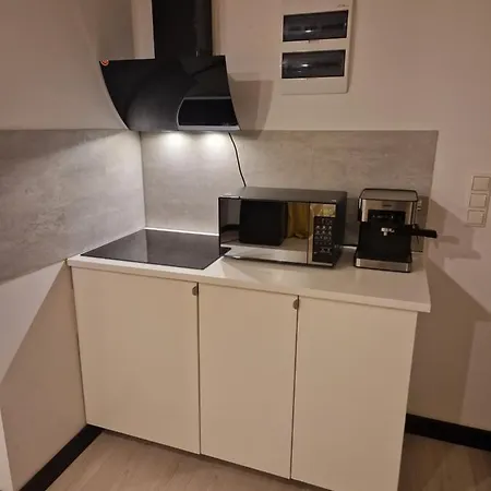 Trzech Krzyzy Konopnickiej 3 아파트 *